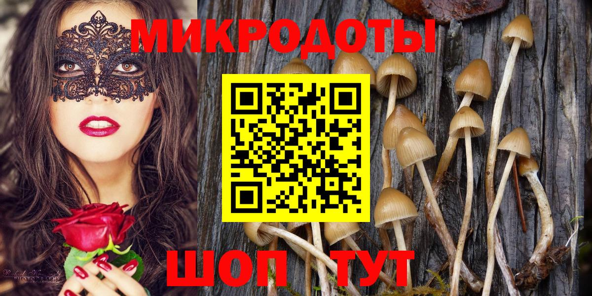 Тула  Галлюциногенные грибы прущие грибы  Вход с VPN  Псилоцибиновые грибы мицелий 